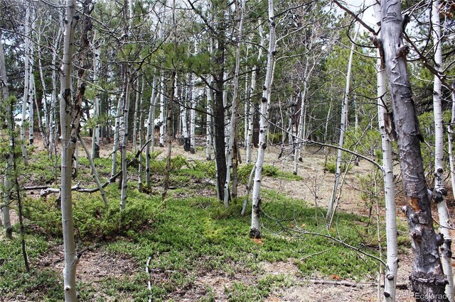 LOT10 Pinon Cir, Black Hawk, CO 80422 - photo 7