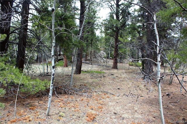 LOT10 Pinon Cir, Black Hawk, CO 80422 - photo 8