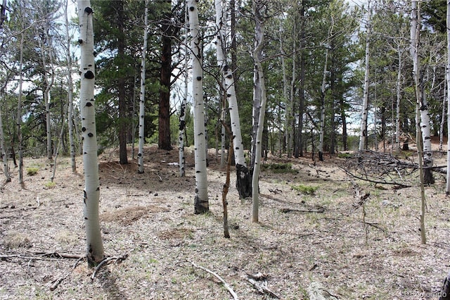 LOT10 Pinon Cir, Black Hawk, CO 80422 - photo 9
