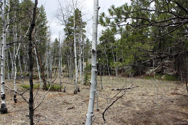 LOT10 Pinon Cir, Black Hawk, CO 80422 - photo 10