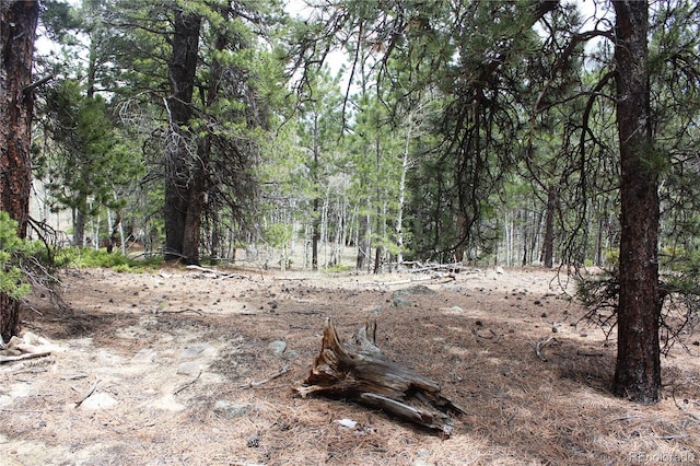 LOT10 Pinon Cir, Black Hawk, CO 80422 - photo 13