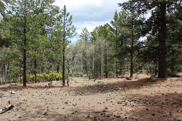 LOT10 Pinon Cir, Black Hawk, CO 80422 - photo 14