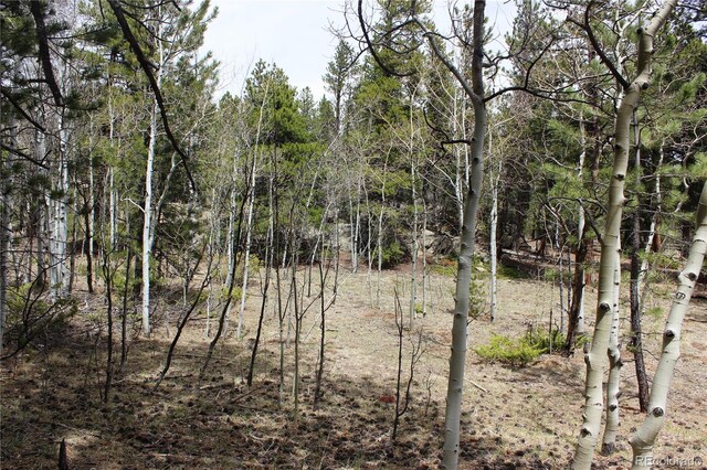LOT10 Pinon Cir, Black Hawk, CO 80422 - photo 15