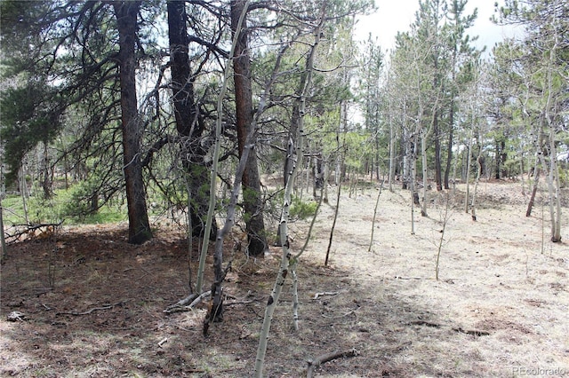 LOT10 Pinon Cir, Black Hawk, CO 80422 - photo 16