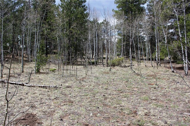 LOT10 Pinon Cir, Black Hawk, CO 80422 - photo 17