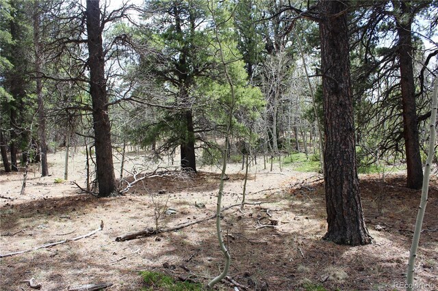 LOT10 Pinon Cir, Black Hawk, CO 80422 - photo 18