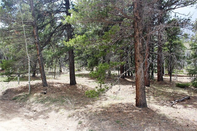 LOT10 Pinon Cir, Black Hawk, CO 80422 - photo 19