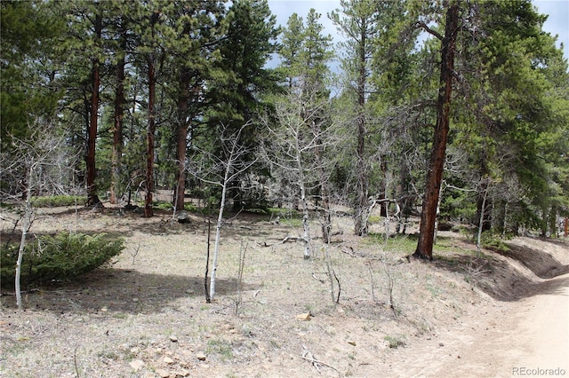 LOT10 Pinon Cir, Black Hawk, CO 80422 - photo 20