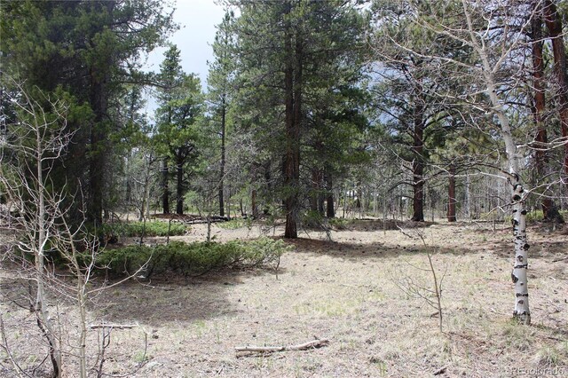 LOT10 Pinon Cir, Black Hawk, CO 80422 - photo 21