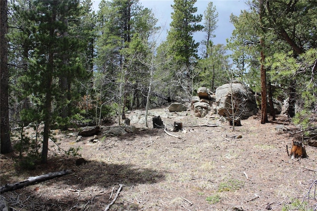 LOT10 Pinon Cir, Black Hawk, CO 80422 - photo 22
