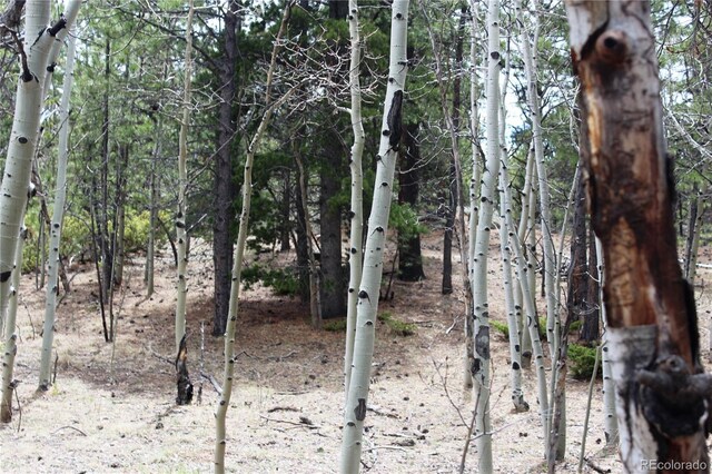 LOT10 Pinon Cir, Black Hawk, CO 80422 - photo 24