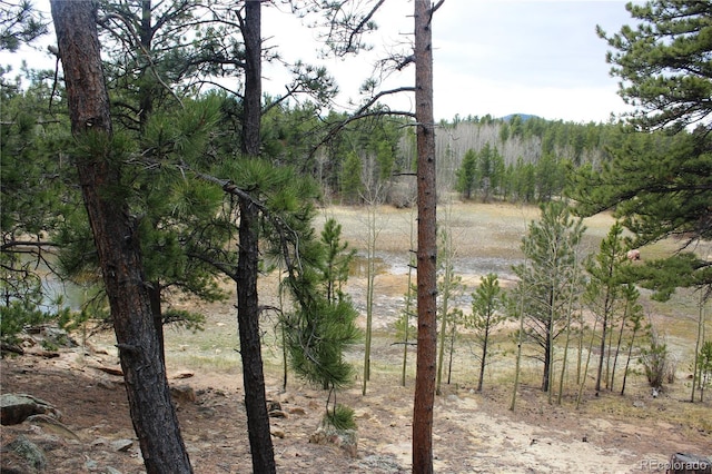 LOT10 Pinon Cir, Black Hawk, CO 80422 - photo 26