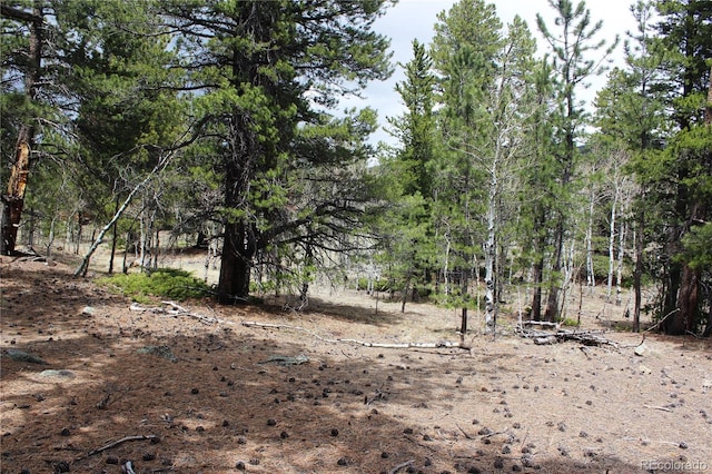 LOT10 Pinon Cir, Black Hawk, CO 80422 - photo 27