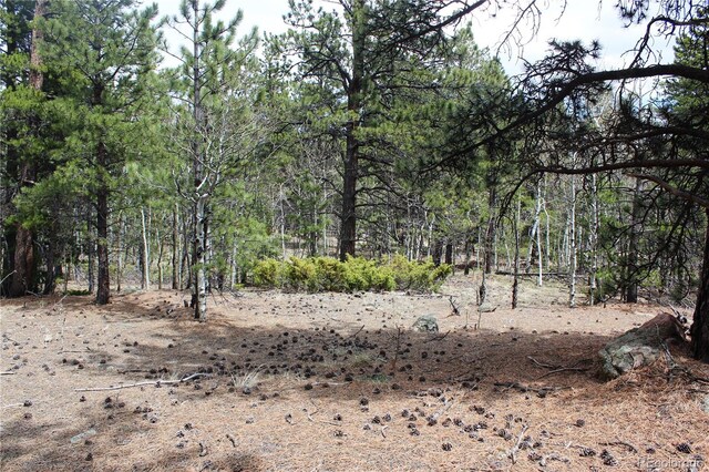 LOT10 Pinon Cir, Black Hawk, CO 80422 - photo 28