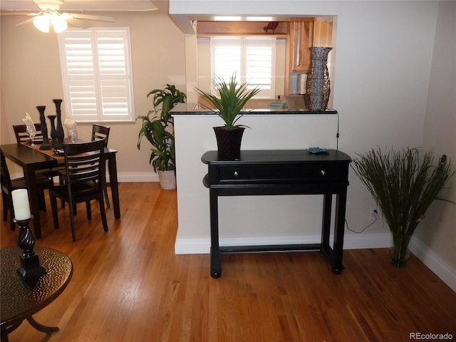 dining area featuring light wood-style floors, ceiling fan, and baseboards