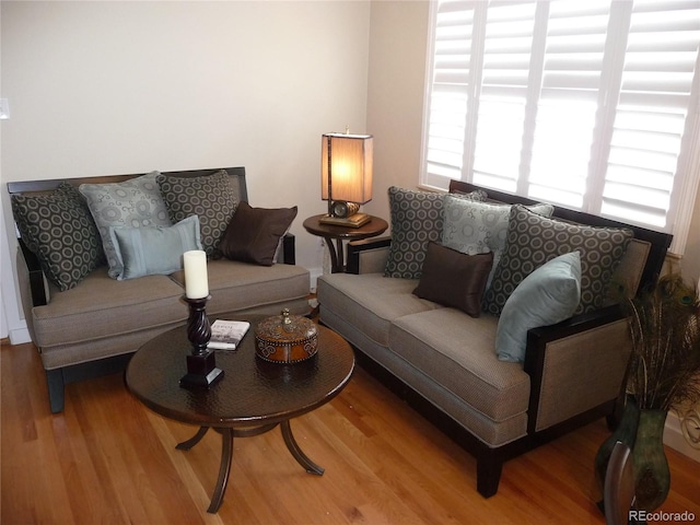 living room featuring wood finished floors