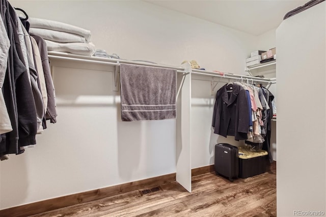 6049 Carmon Dr, Windsor, CO 80550 - photo 15