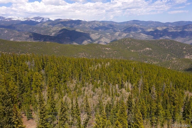 000 Lamartine Rd, Idaho Springs, CO 80452