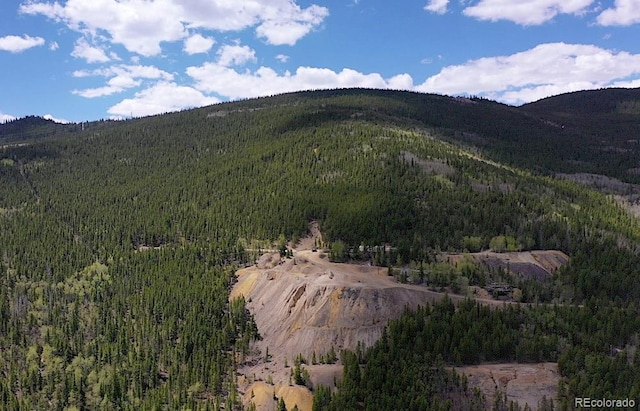 000 Lamartine Rd, Idaho Springs, CO 80452