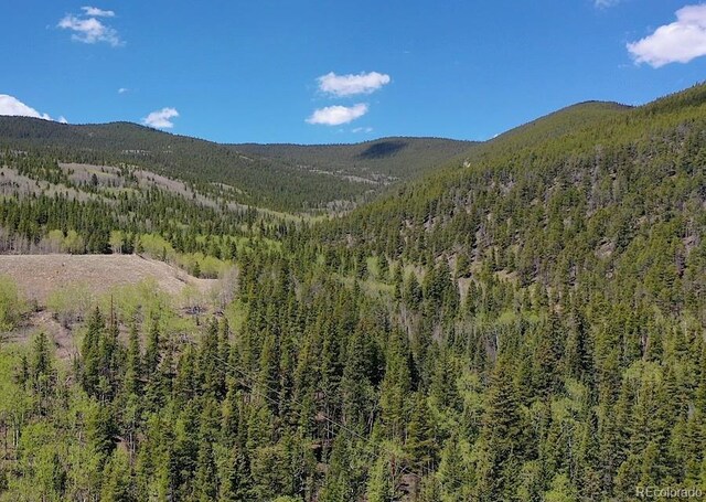000 Lamartine Rd, Idaho Springs, CO 80452