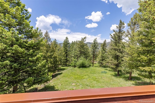 173 Silver Cloud Ln, Boulder, CO 80302 - view of yard with a forest view and a mountain view