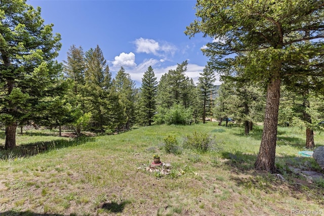 173 Silver Cloud Ln, Boulder, CO 80302 - view of yard