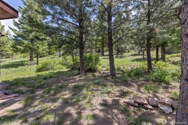 173 Silver Cloud Ln, Boulder, CO 80302 - view of yard