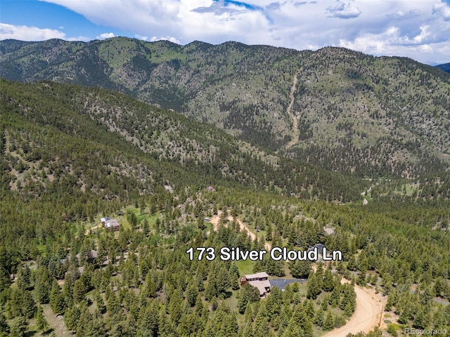 173 Silver Cloud Ln, Boulder, CO 80302 - mountain view featuring a forest