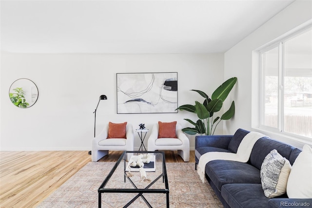 8651 Franklin St, Denver, CO 80229 - living room with baseboards and wood finished floors