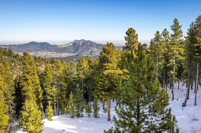 property view of mountains