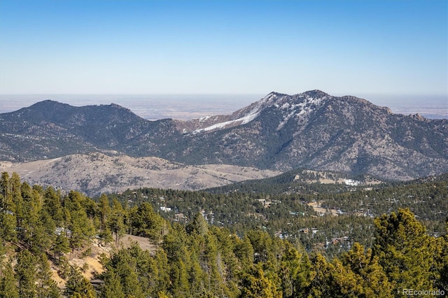 view of mountain feature