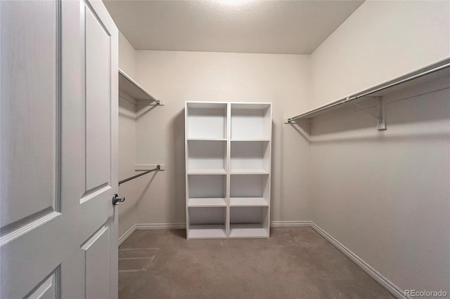 1430 Bluefield Ave, Longmont, CO 80504 - spacious closet with carpet