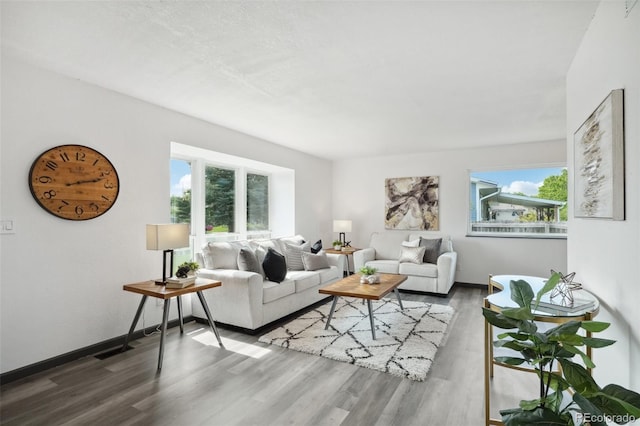 1973 Bahama St, Aurora, CO 80011 - living area with wood finished floors, healthy amount of natural light, and baseboards