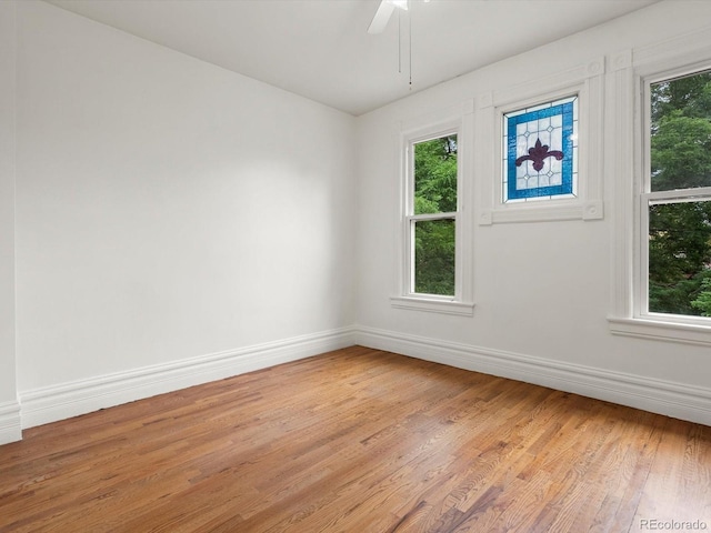 2823 N Lafayette St, Denver, CO 80205 - photo 34