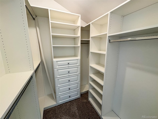 6640 S Heritage Pl W, Centennial, CO 80111 - spacious closet with dark carpet