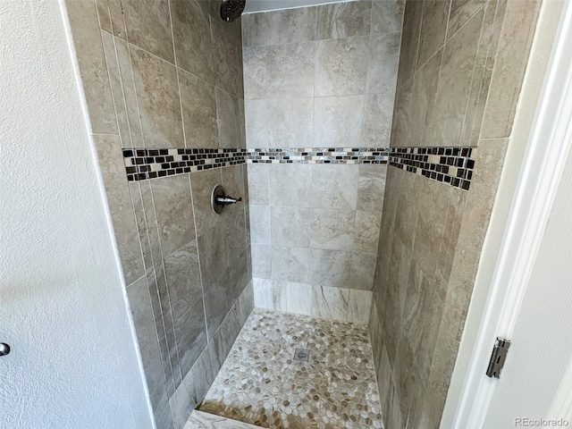 6640 S Heritage Pl W, Centennial, CO 80111 - bathroom with tiled shower