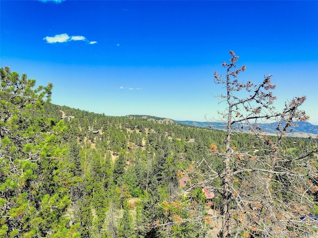 11956 Coal Creek Heights Dr, Golden, CO 80403 - photo 3