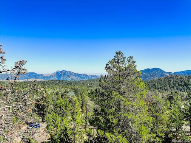 11956 Coal Creek Heights Dr, Golden, CO 80403 - photo 4