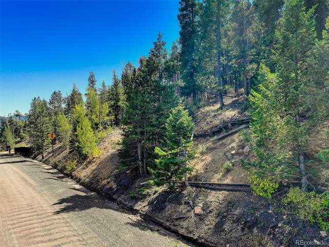 11956 Coal Creek Heights Dr, Golden, CO 80403 - photo 5