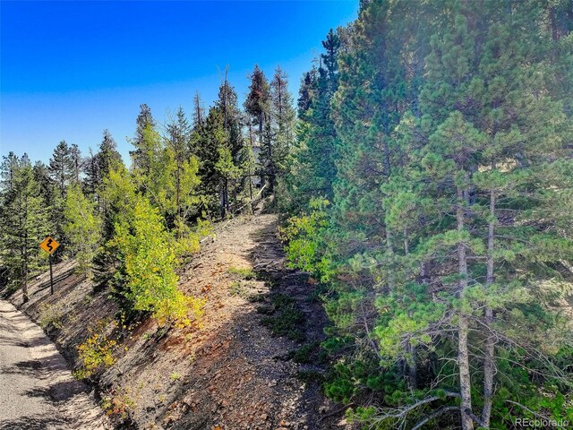 11956 Coal Creek Heights Dr, Golden, CO 80403 - photo 6