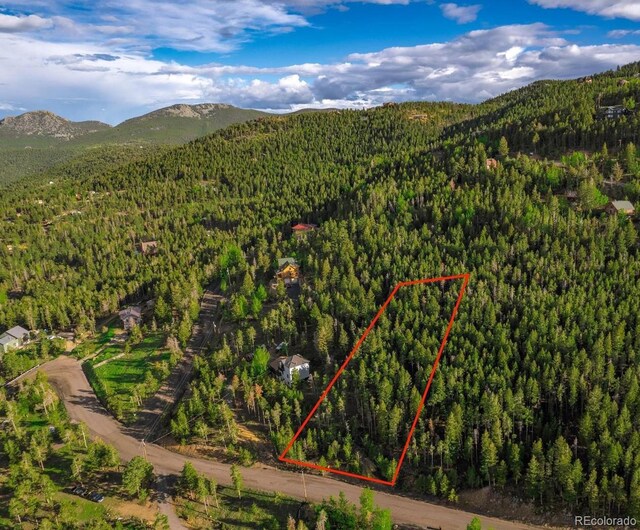 11956 Coal Creek Heights Dr, Golden, CO 80403 - photo 8