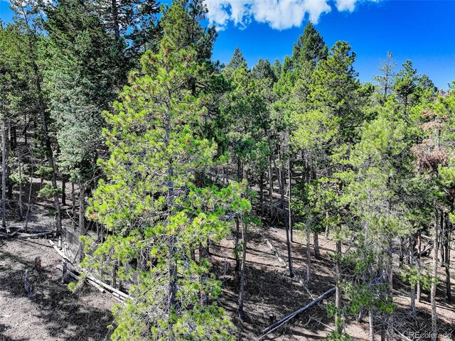 11956 Coal Creek Heights Dr, Golden, CO 80403 - photo 10