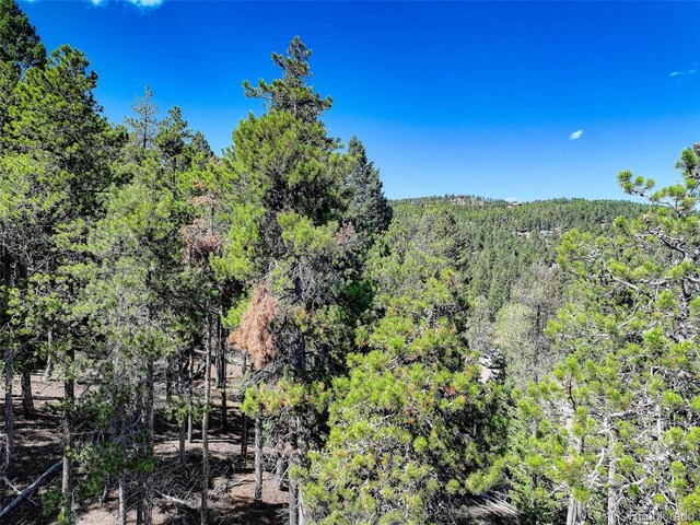 11956 Coal Creek Heights Dr, Golden, CO 80403 - photo 11