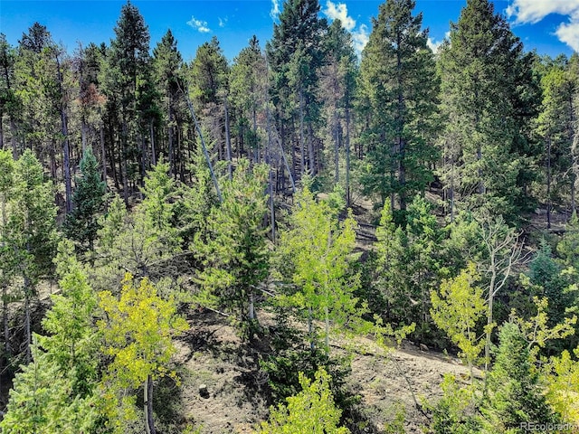 11956 Coal Creek Heights Dr, Golden, CO 80403 - photo 15