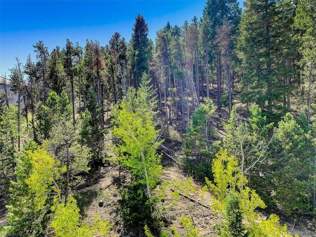 11956 Coal Creek Heights Dr, Golden, CO 80403 - photo 16