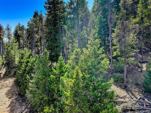 11956 Coal Creek Heights Dr, Golden, CO 80403 - photo 17