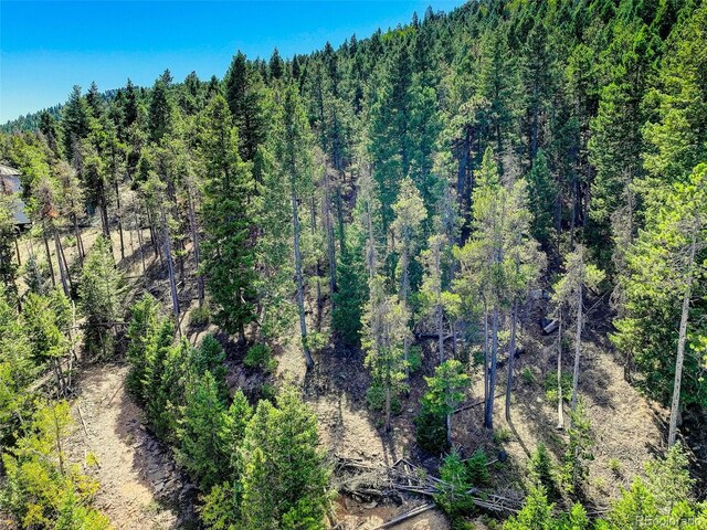 11956 Coal Creek Heights Dr, Golden, CO 80403 - photo 19