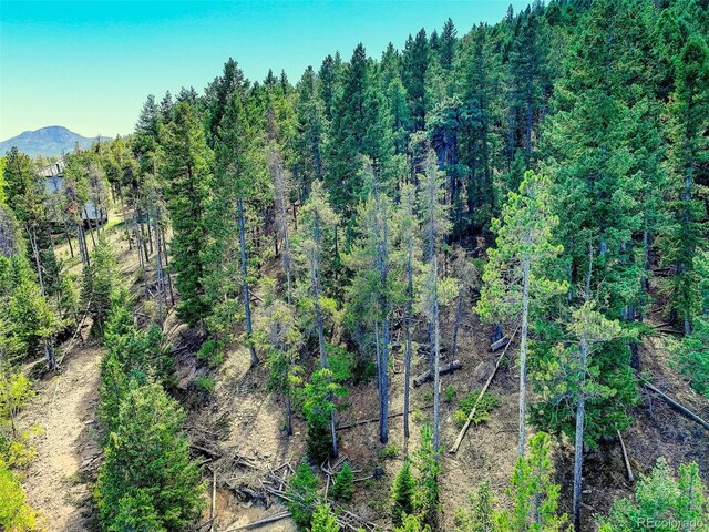 11956 Coal Creek Heights Dr, Golden, CO 80403 - photo 20