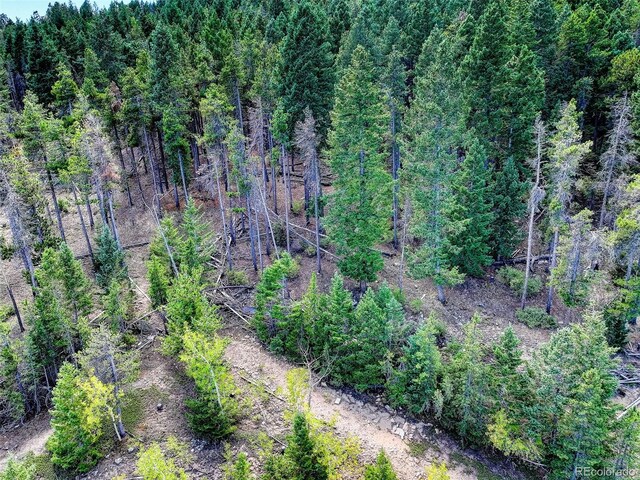 11956 Coal Creek Heights Dr, Golden, CO 80403 - photo 21