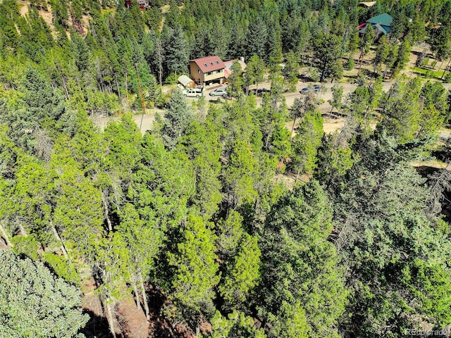11956 Coal Creek Heights Dr, Golden, CO 80403 - photo 23